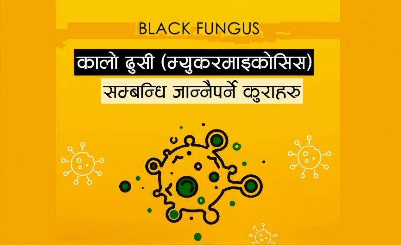 कोरोनाको दोस्रो लहरसंगै कालो ढुसी अर्थात म्युकोरमाइकोसीस समस्या प्रति चासो बढ्दो
