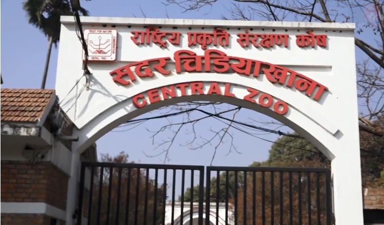निषेधाज्ञाका कारण ललितपुरस्थित सदर चिडियाखाना गम्भिर आर्थिक संकटमा