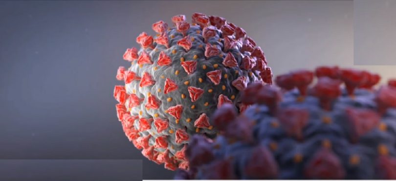 कोरोना अपडेट :आइतबार १ हजार १ सय ६७ जनामा कोरोना संक्रमण पुष्टि,२ जनाको मृत्यु