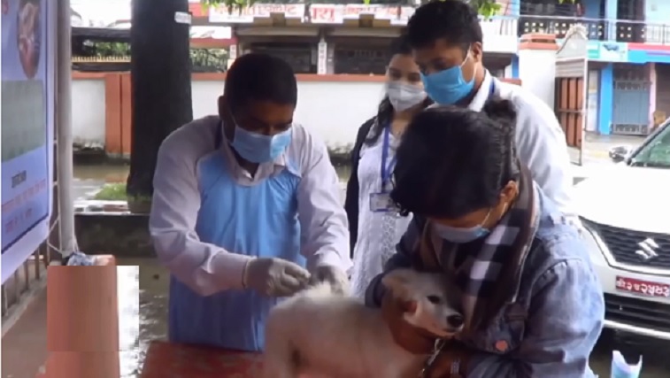 ७ प्रदेशमा रेबिज खोप सुरु