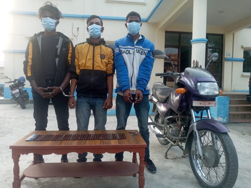 लागुऔषध सहित कटहरीका ३ युवा पक्राउ