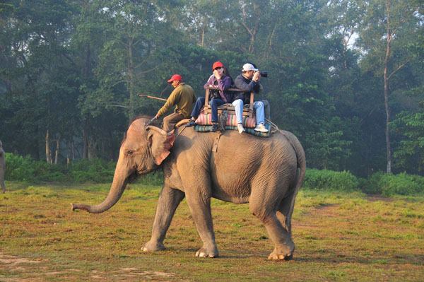 सौराहामा देखिन थाले विदेशी पर्यटक