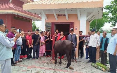 इटहरीमा नेवार समुदायको मौलिक पर्व भीमसेन पूजा तथा रथयात्रा सहित सम्पन्न